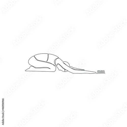 set of yoga, continuous line drawing of women fitness yoga concept vector health illustration