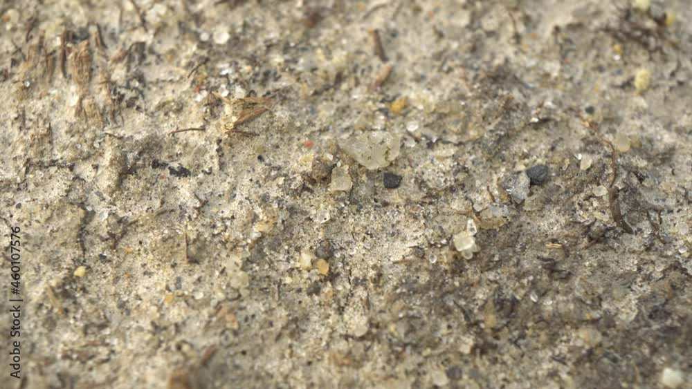 Sandy Ground By The River Slider Shot Sandy Ground By The River Slider Shot
