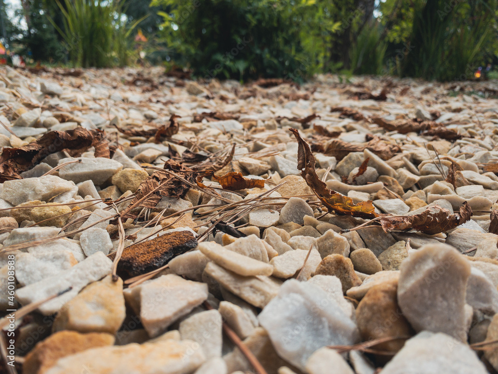 Natural gravel and crushed stone in the decoration of flower beds and lawns. Decoration of flower beds in the garden with natural stone. Natural gravel and crushed stone in the decoration of flower beds and lawns. Decoration of flower beds in the garden with natural stone.