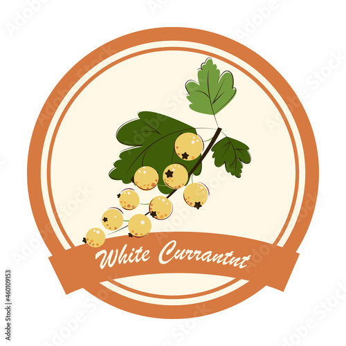 White Currant Jam and Marmalade Label. Ripe Berries for Jam, Dessert and Marmalade. Flat style. Vector Illustration.
