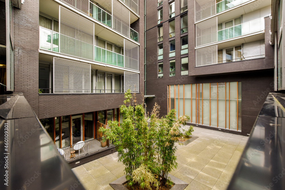 Backyard of modern residential house in city Backyard of modern residential house in city