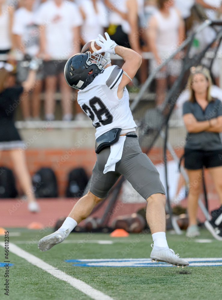 Fototapeta premium Amazing athletes making great catches and runs during a competitive football game