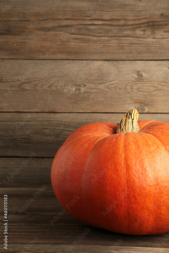 Fresh orange pumpkin on grey background. Autumn composition. Vertical photo Fresh orange pumpkin on grey background. Autumn composition. Vertical photo
