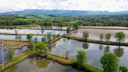 Fishponds in Miedzyrzecze Gorne village in Silesia region of Poland, aerial drone footage photo