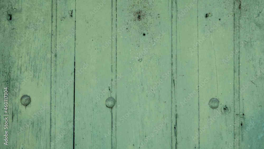 Fototapeta premium grüner Holz Hintergrund 
