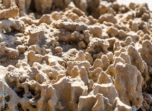 Porous rock shaped by the sea on the shore of the gulf of Baratti, municipality of Piombino, Tuscany region, Italy photo