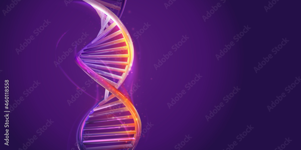DNA double helix structure on a violet background. Stock Vector | Adobe ...