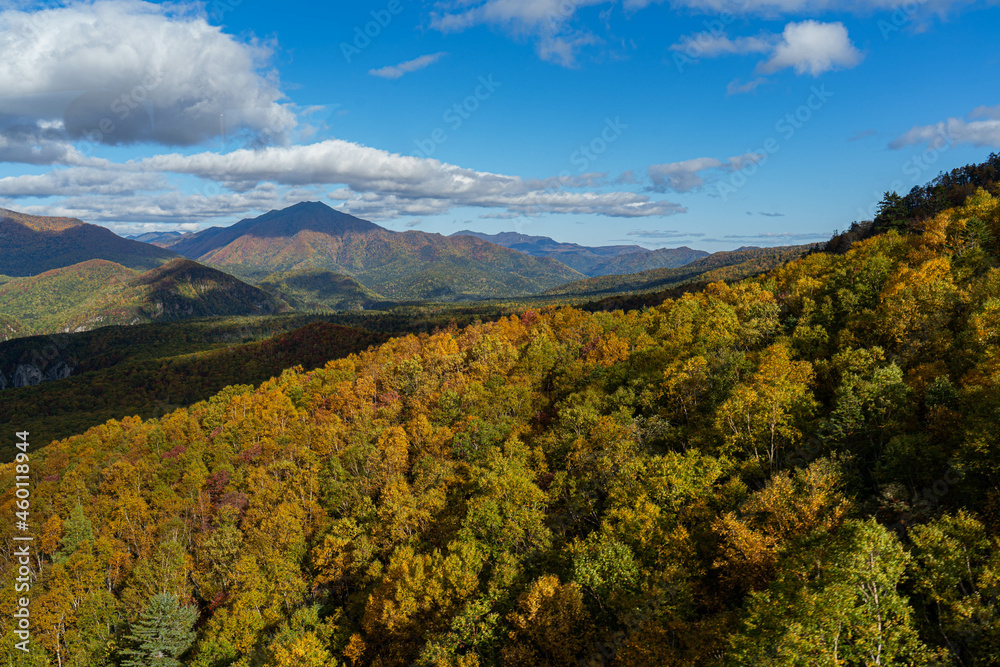 The earliest autumn leaves in Japan