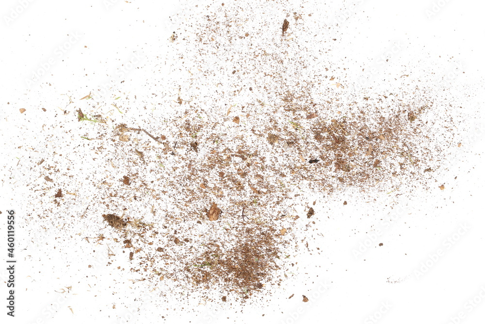 Dust organic, crushed rotten wood, ground dry and green moss isolated on white background and texture, top view Dust organic, crushed rotten wood, ground dry and green moss isolated on white background and texture, top view