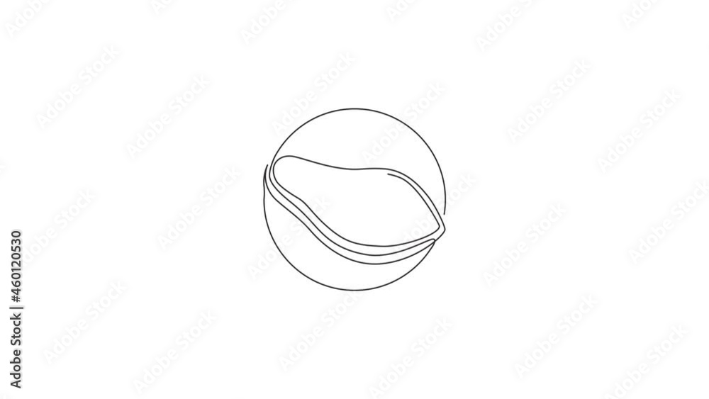 Animation of one line drawing of half sliced healthy organic papaya for orchard logo identity. Fresh fruitage concept for fruit garden icon. Continuous line self draw animated. Full length motion.