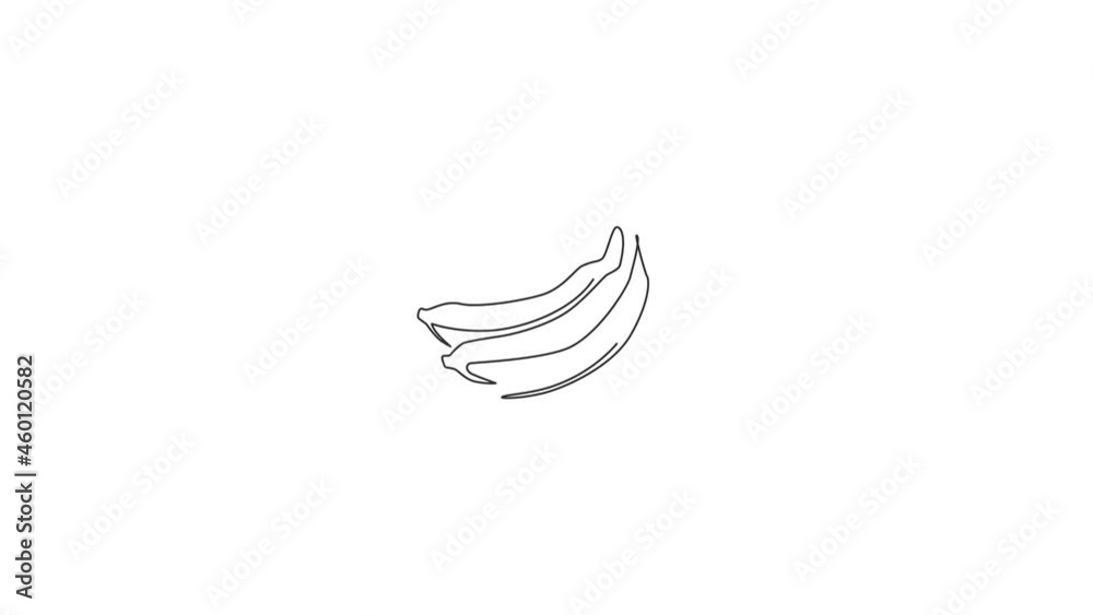 Animated self drawing of single continuous line draw whole bunch healthy organic bananas for orchard logo. Fresh summer tropical fruitage concept fruit garden icon. Full length one line animation. Animated self drawing of single continuous line draw whole bunch healthy organic bananas for orchard logo. Fresh summer tropical fruitage concept fruit garden icon. Full length one line animation.