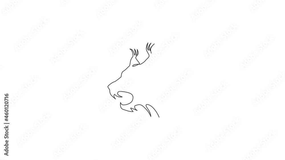Animation of single one line drawing of angry lynx cat head for company logo identity. Big cat predator mascot concept for national zoo icon. Continuous line self draw animated. Full length motion. Animation of single one line drawing of angry lynx cat head for company logo identity. Big cat predator mascot concept for national zoo icon. Continuous line self draw animated. Full length motion.