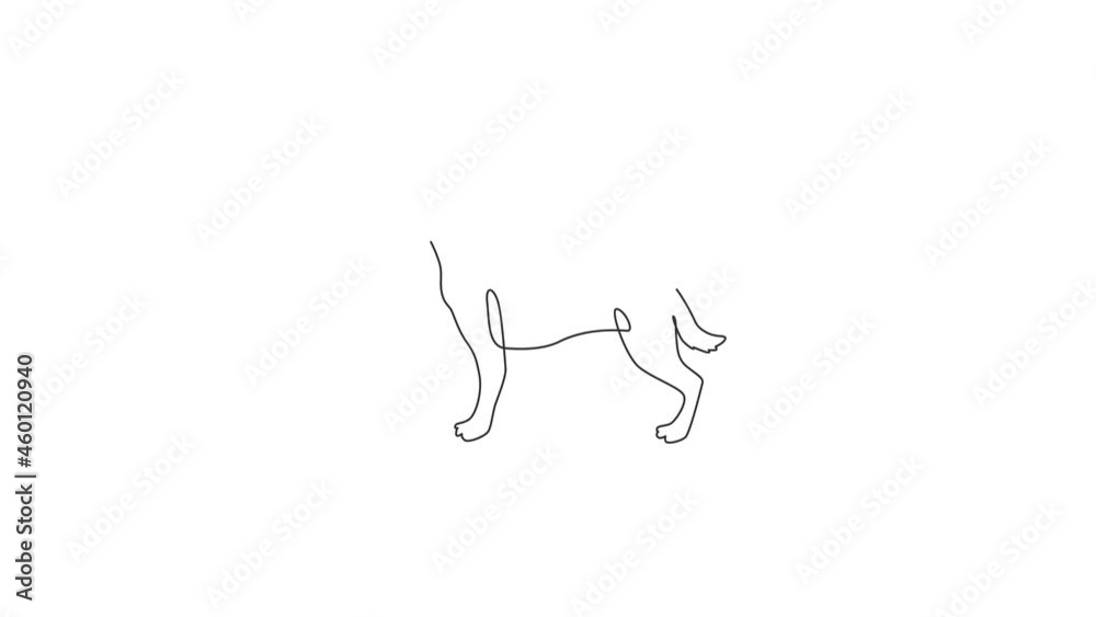 Animated self drawing of continuous line draw fierce rottweiler dog for security company logo identity. Purebred dog mascot concept for pedigree friendly pet icon. Full length single line animation. Animated self drawing of continuous line draw fierce rottweiler dog for security company logo identity. Purebred dog mascot concept for pedigree friendly pet icon. Full length single line animation.