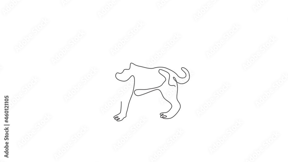 Animated self drawing of one continuous line draw funny beagle dog for company logo identity. Purebred dog mascot concept for pedigree friendly pet icon. Full length single line animation illustration Animated self drawing of one continuous line draw funny beagle dog for company logo identity. Purebred dog mascot concept for pedigree friendly pet icon. Full length single line animation illustration