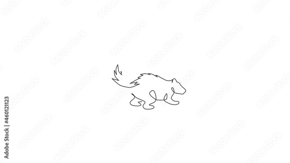 Animation of one line drawing of adorable striped skunk for company logo. Sprayer liquid with stink smell animal mascot concept for zoo icon. Continuous line self draw animated. Full length motion. Animation of one line drawing of adorable striped skunk for company logo. Sprayer liquid with stink smell animal mascot concept for zoo icon. Continuous line self draw animated. Full length motion.