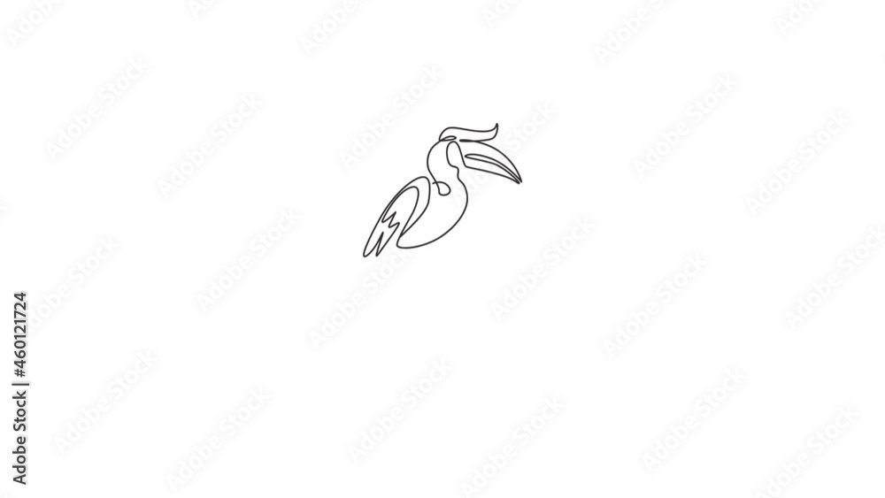 Animated self drawing of one continuous line draw cute great hornbill for company logo identity. Large beak bird mascot concept for national conservation park icon. Full length single line animation. Animated self drawing of one continuous line draw cute great hornbill for company logo identity. Large beak bird mascot concept for national conservation park icon. Full length single line animation.