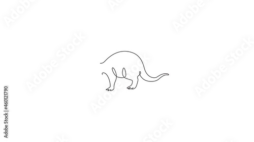 Animation of one single line drawing of exotic aardvark for company logo. Orycteropus animal mascot concept for national conservation park icon. Continuous line self draw animated. Full length motion. photo