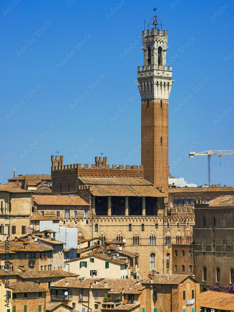 Cityscape of the old town of Siena a wonderful place in Tuscany, Italy with its old medieval little building and red roofs seen from Orto dei Tolomei