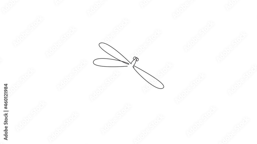 Animation of one single line drawing of cute dragonfly for company logo identity. Odonata animal mascot concept for insect lover club icon. Continuous line self draw animated. Full length motion. Animation of one single line drawing of cute dragonfly for company logo identity. Odonata animal mascot concept for insect lover club icon. Continuous line self draw animated. Full length motion.