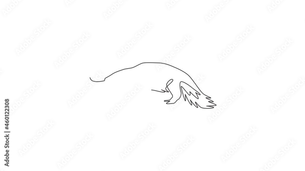 Animation of one single line drawing of big anteater for logo identity. Worm tongue animal mascot concept for national park icon. Continuous line self draw animated illustration. Full length motion. Animation of one single line drawing of big anteater for logo identity. Worm tongue animal mascot concept for national park icon. Continuous line self draw animated illustration. Full length motion.