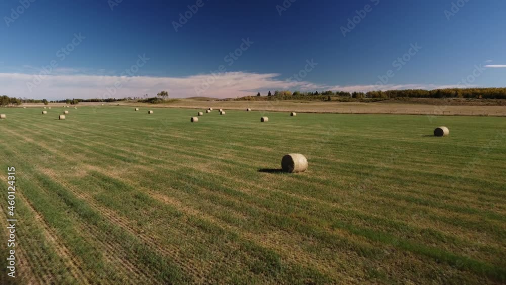 Flight over round hay bales sitting on a harvested field on the Alberta prairies. Flight over round hay bales sitting on a harvested field on the Alberta prairies.