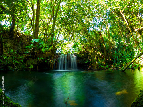 Long exposure view of a waterfall hidden in a dark forest located in Mauritius