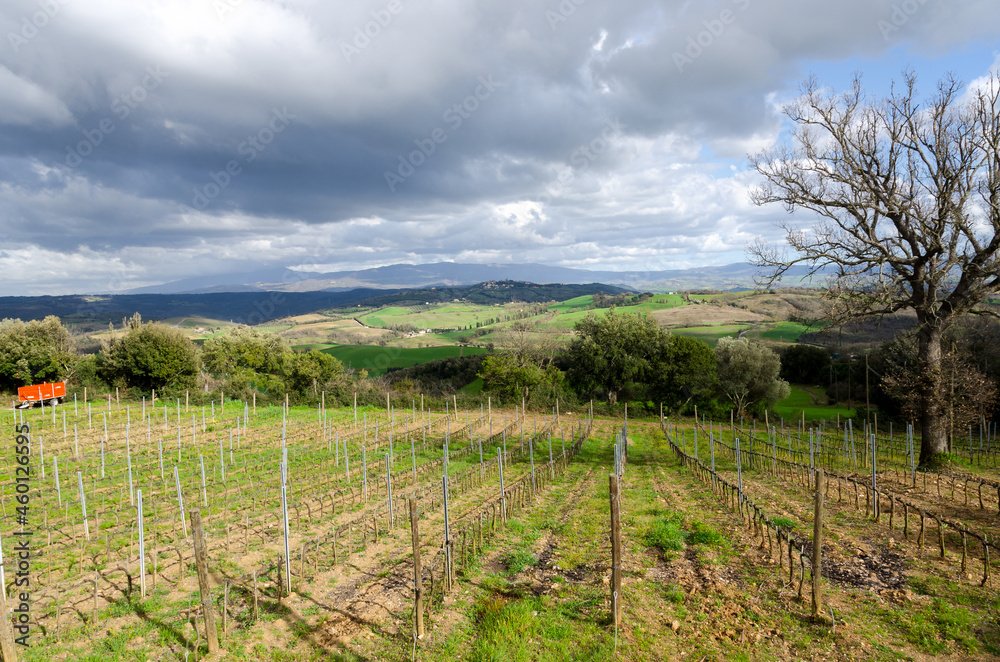 Obraz premium landscapes in the countryside of Tuscany in Italy