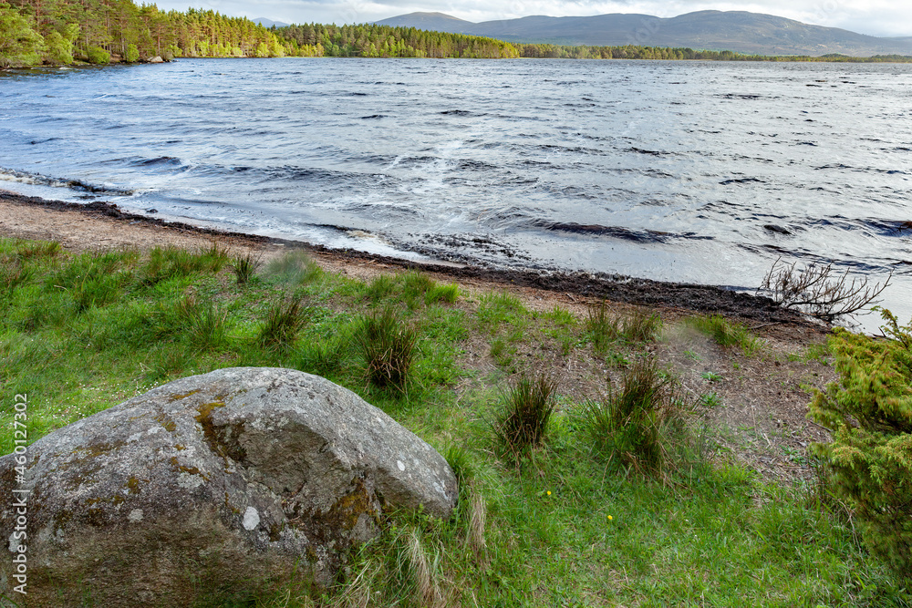 Choppy water on Loch Garten in Scotland Choppy water on Loch Garten in Scotland