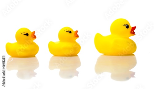 Obraz na plátně Rubber Ducks Family