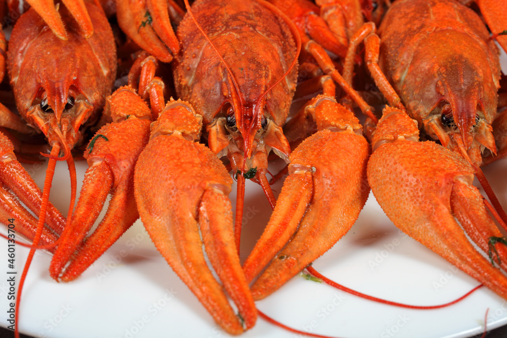 boiled crayfish on a white plate, dark concrete background, close-up boiled crayfish on a white plate, dark concrete background, close-up