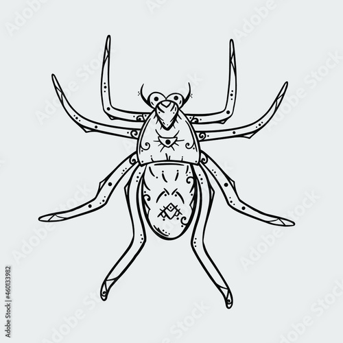 Hand-drawn llustration of a spider © Svetlana