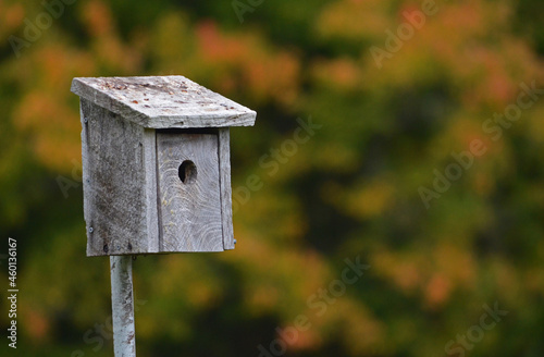 Birdhouse with an autumn background.