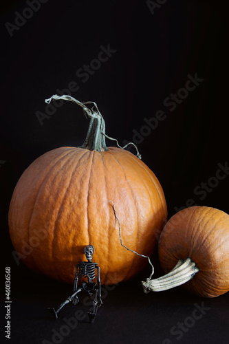 Small skeleton with pumpkins on black