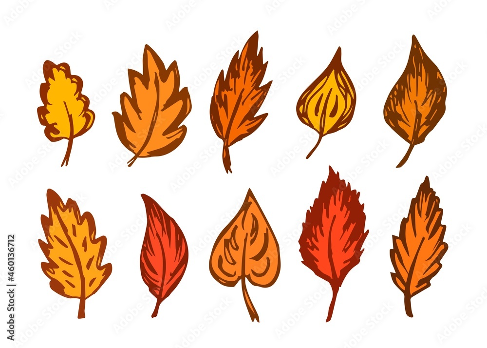 Simple vector color drawing. Set of bright dry autumn leaves for seasonal design. Leaf fall.