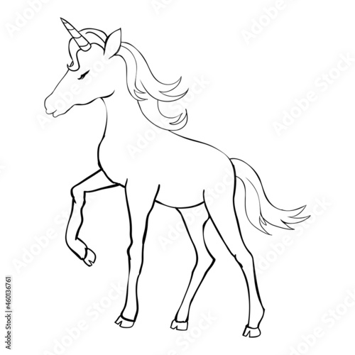 Unicorn  hand drawn vector illustration for logotype