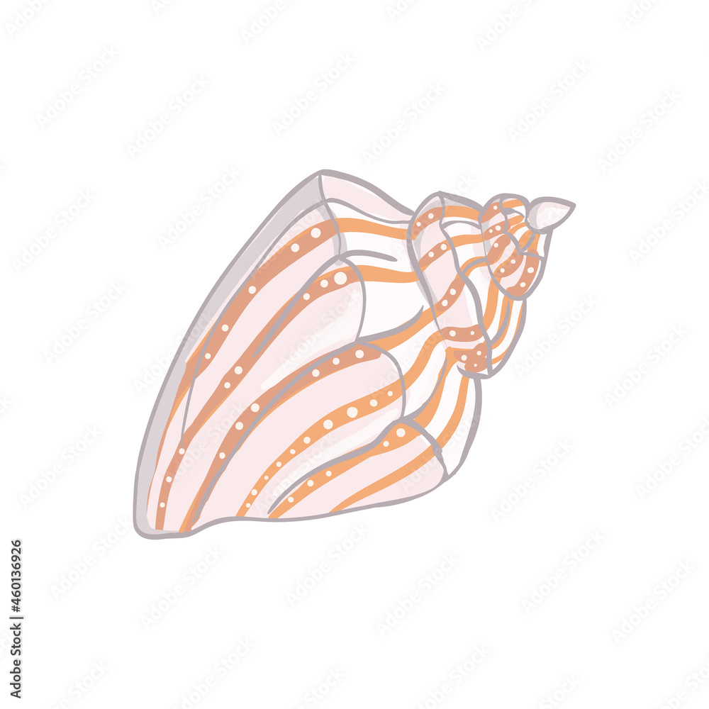 Cute pink sea shell. Hand drawn illustration vector. Cute pink sea shell. Hand drawn illustration vector.