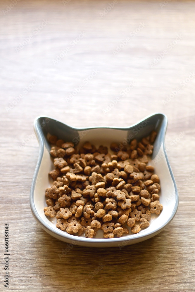 Cat shaped bowl filled with dry cat food. Selective focus. Cat shaped bowl filled with dry cat food. Selective focus.