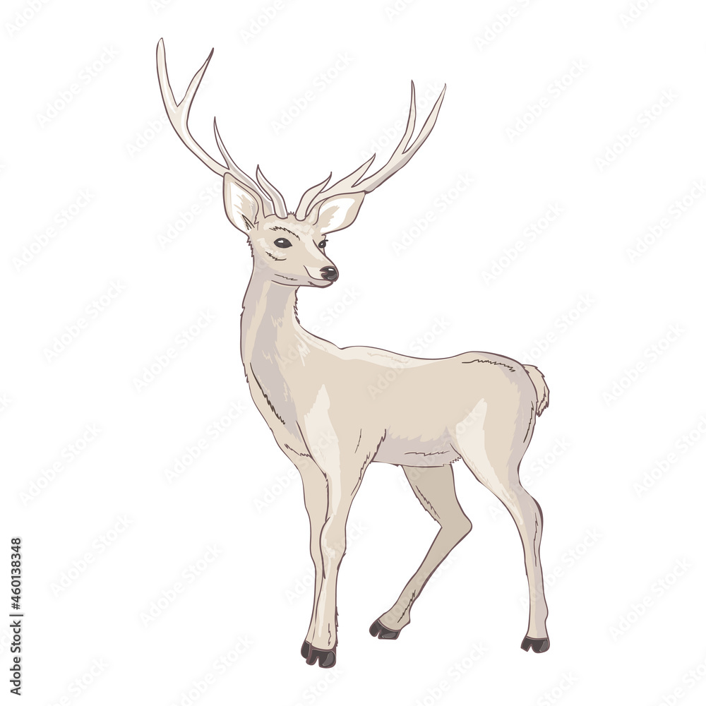 Fototapeta premium Cartoon deer - cute character for children.