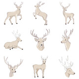 Collection of vector vintage styled engraved hand drawn deer animal hunting season