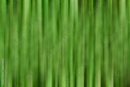 Motion blur green grass background