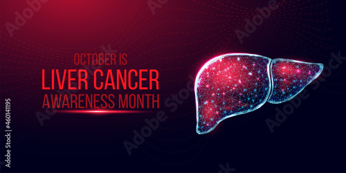 Liver cancer awareness month concept. Banner template with glowing low poly wireframe liver. Futuristic modern abstract. Isolated on dark background. Vector illustration.