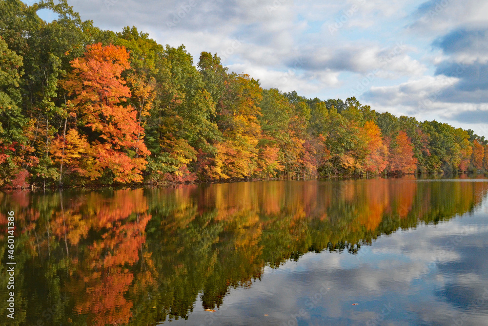 autumn trees reflected in water