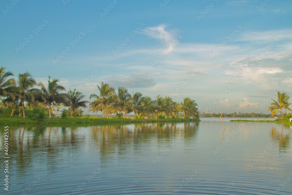 Lake banks with a view of the  coconut trees