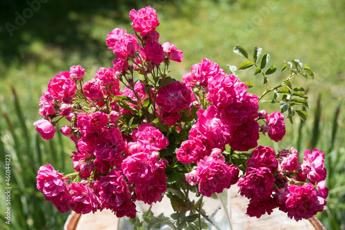 pink roses in the garden, little posy in a vase © SusaZoom