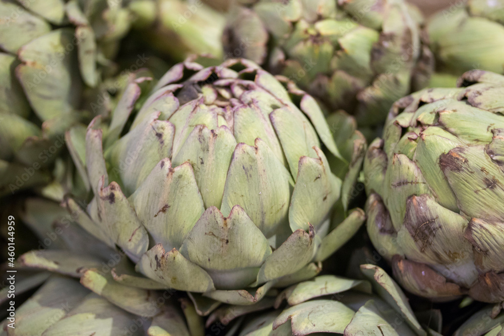 artichoke from the green grocer artichoke from the green grocer