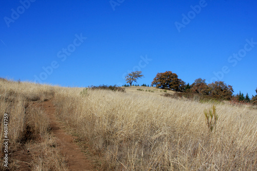 Nearing Summit from South Trail Mt. Pisgah, Eugene, Oregon 