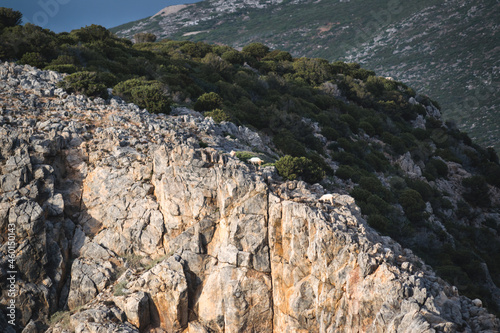 rocks in the mountains
