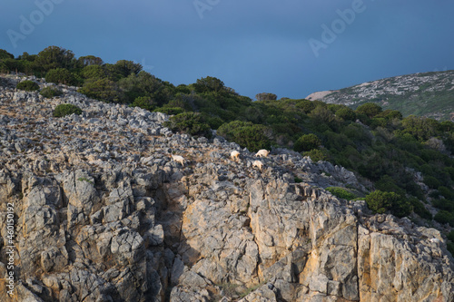 rocks in the mountains