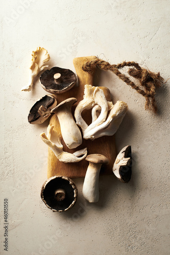 Mushroom variety flat lay photo