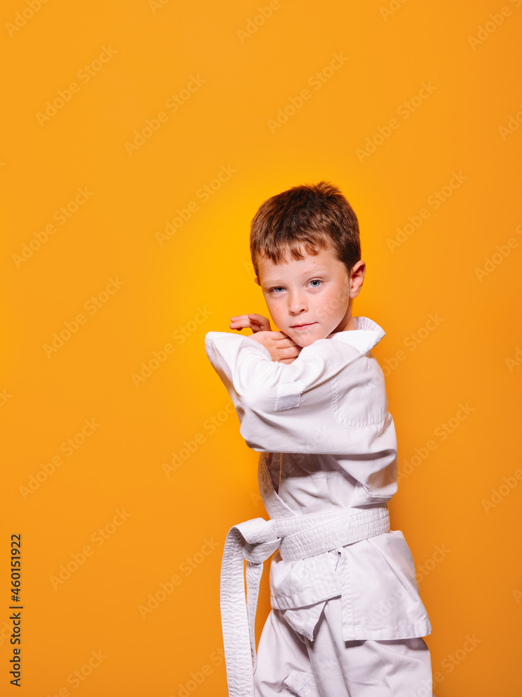 Brave boy in kimono doing karate pose Brave boy in kimono doing karate pose